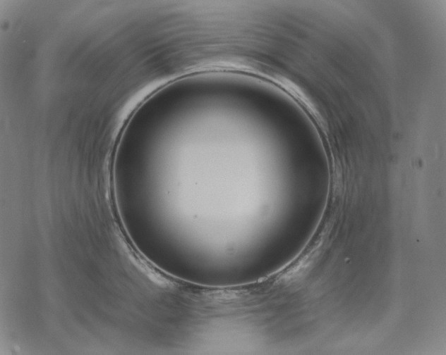 X0000074310862200609011511