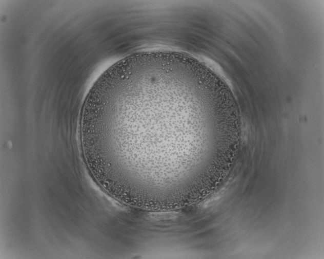 X0000074310863200609011511