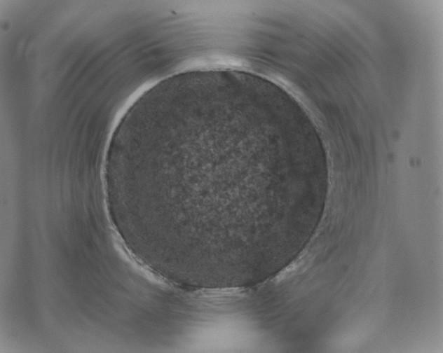 X0000074310864200609011511