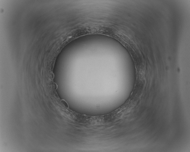 X0000074310865200609011510