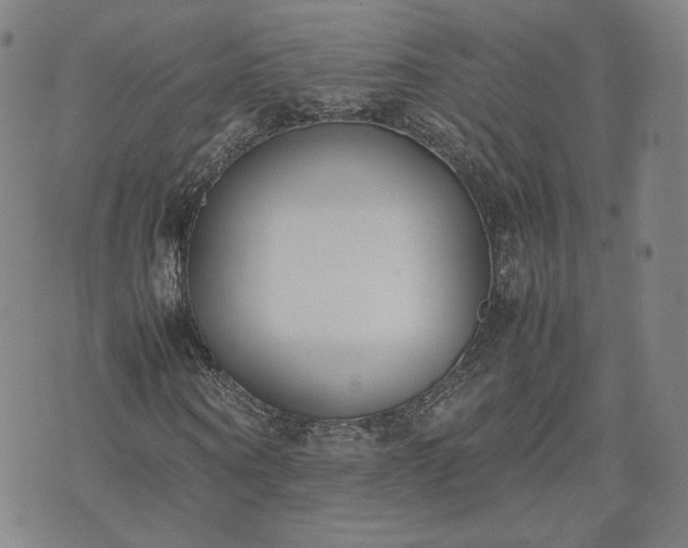 X0000074310866200609011510