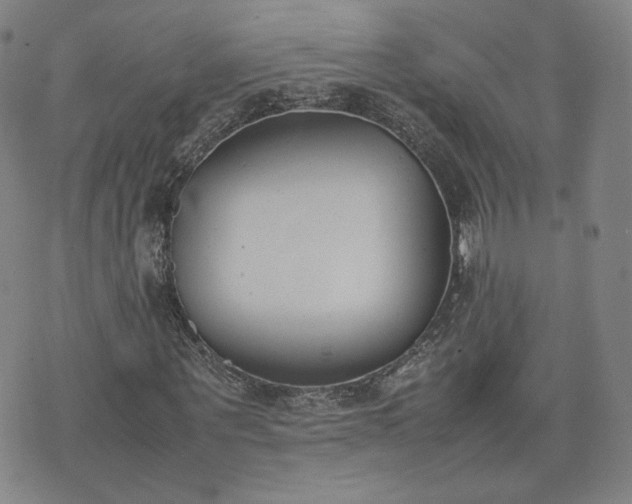 X0000074310867200609011510