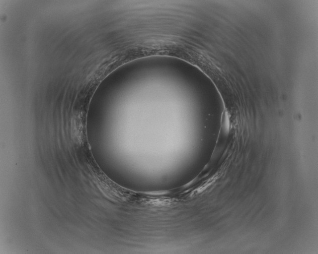 X0000074310868200609011510