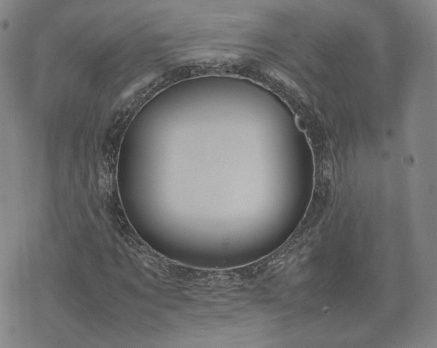 X0000074310869200609011510