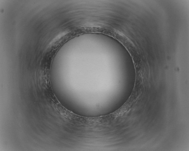 X0000074310870200609011510