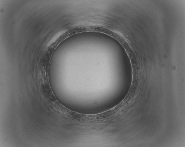 X0000074310871200609011510