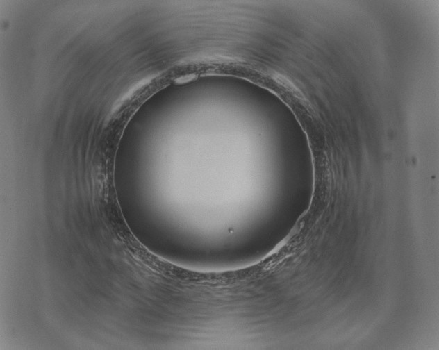 X0000074310872200609011510