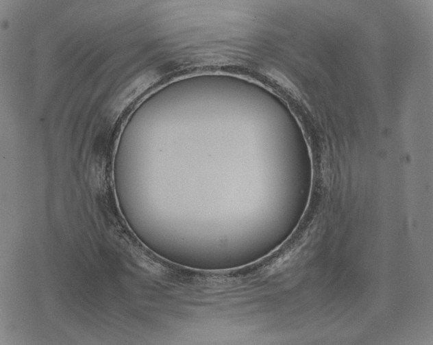 X0000074310873200609011510