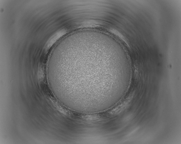 X0000074310874200609011510