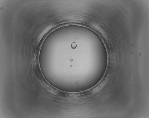 X0000074310875200609011510