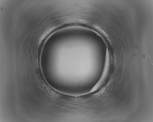 X0000074310877200609011510