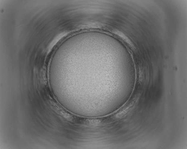 X0000074310878200609011510