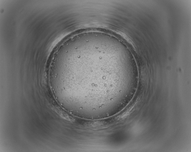 X0000074310879200609011510