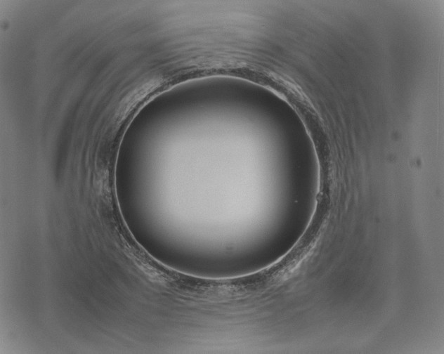 X0000074310881200609011509