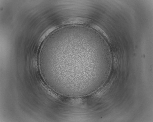 X0000074310882200609011509