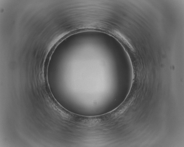 X0000074310884200609011509