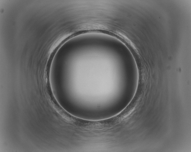 X0000074310885200609011509