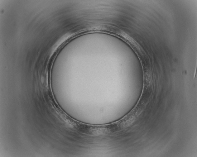 X0000074310886200609011509