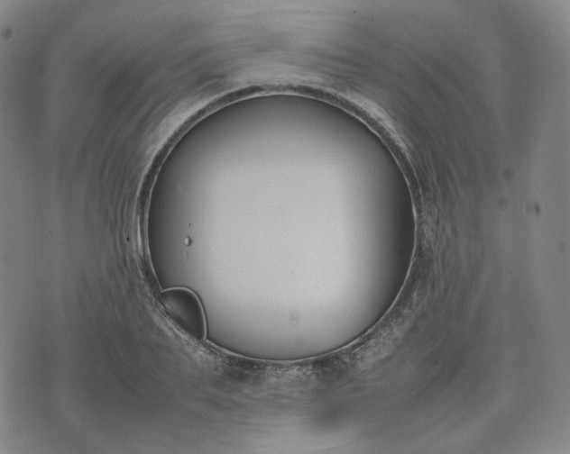 X0000074310887200609011509