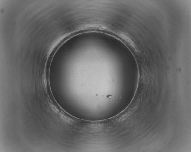 X0000074310888200609011509