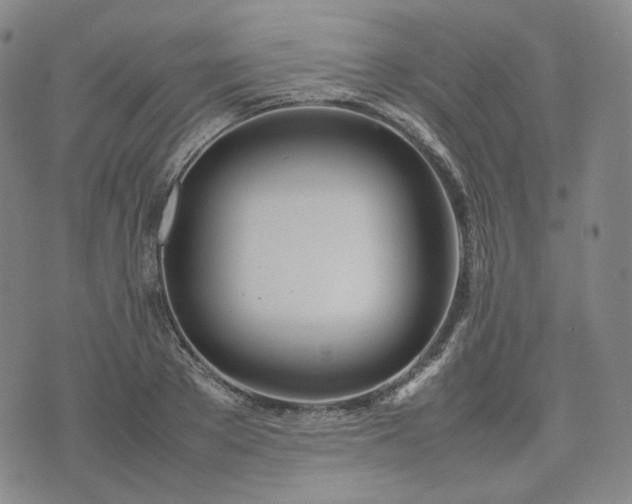 X0000074310889200609011509