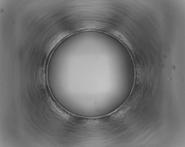 X0000074310890200609011509