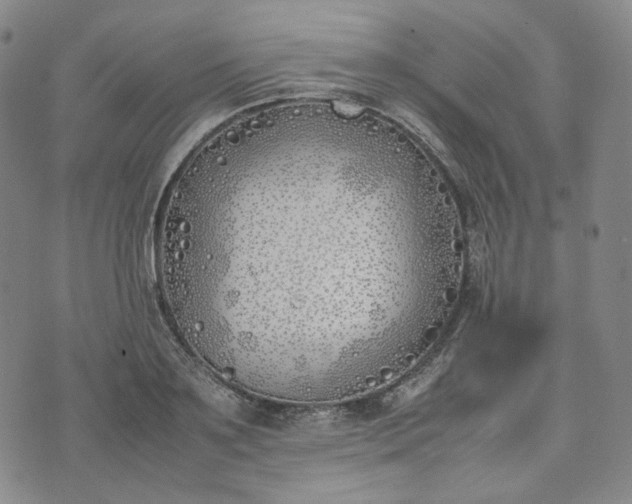 X0000074310891200609011509