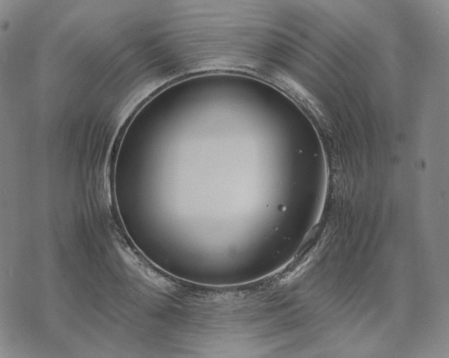 X0000074310892200609011509