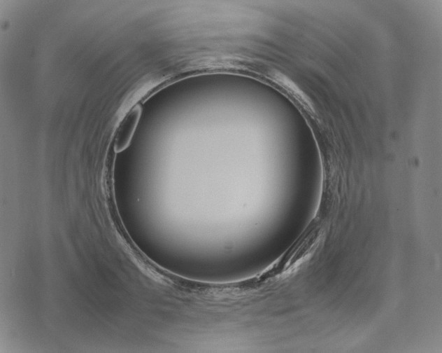 X0000074310893200609011509