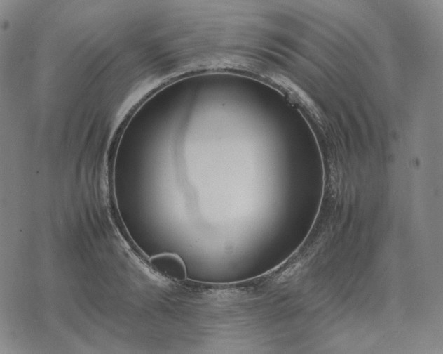 X0000074310894200609011509