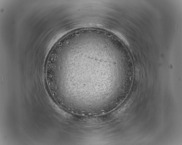 X0000074310895200609011509