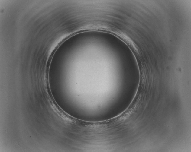 X0000074310896200609011509