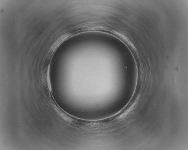 X0000074310897200609011509