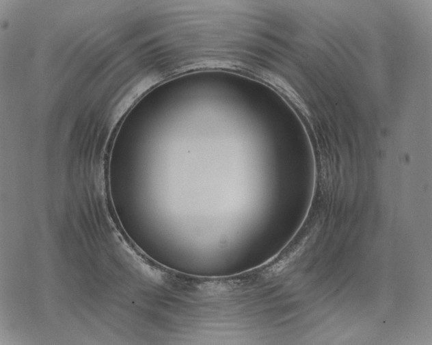 X0000074310898200609011509