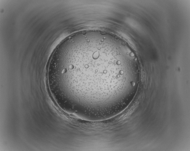 X0000074310899200609011509