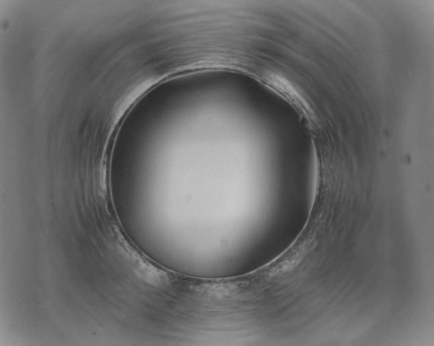 X0000074310900200609011509