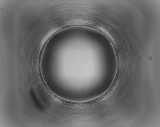 X0000074310901200609011509