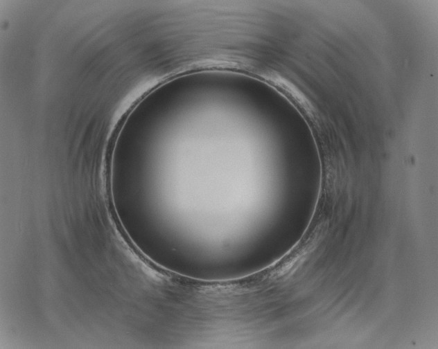 X0000074310902200609011509