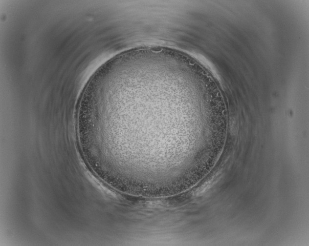 X0000074310903200609011509