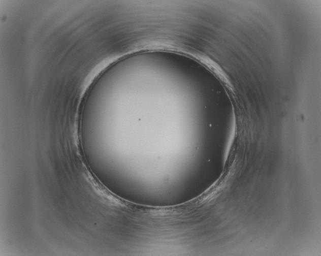 X0000074310904200609011509