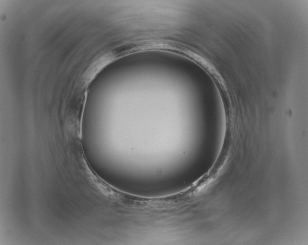 X0000074310905200609011509