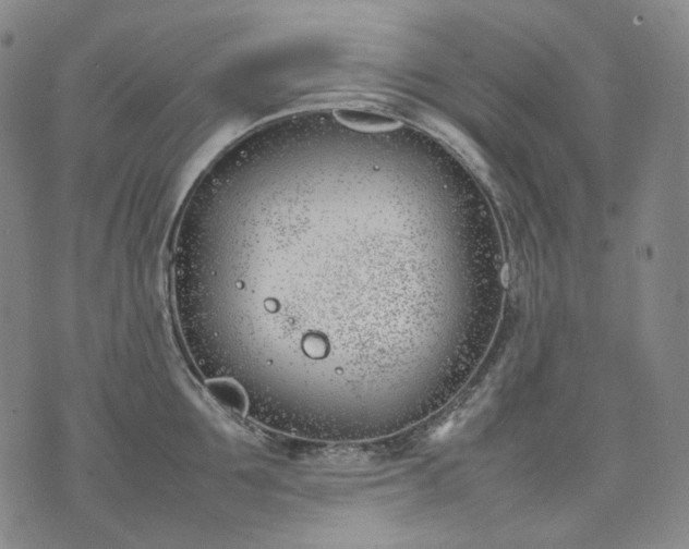 X0000074310907200609011509