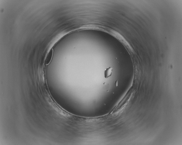 X0000074310908200609011509