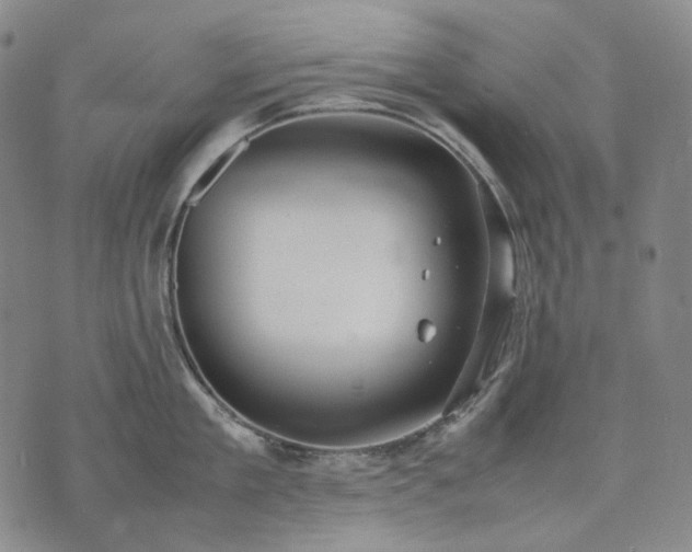 X0000074310909200609011509