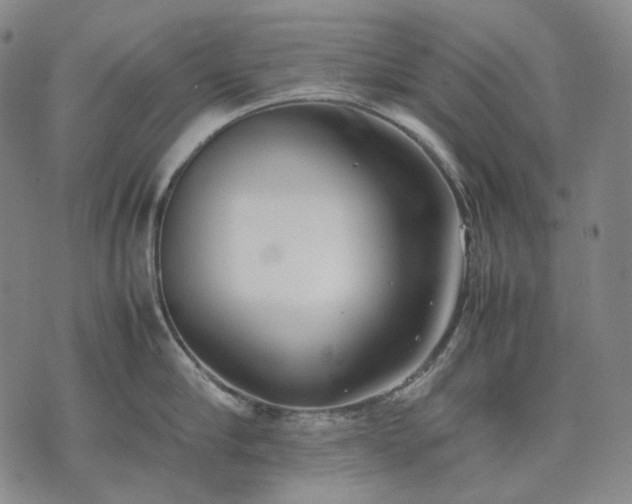 X0000074310910200609011509