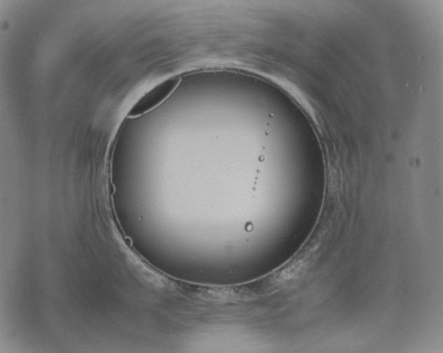 X0000074310911200609011509