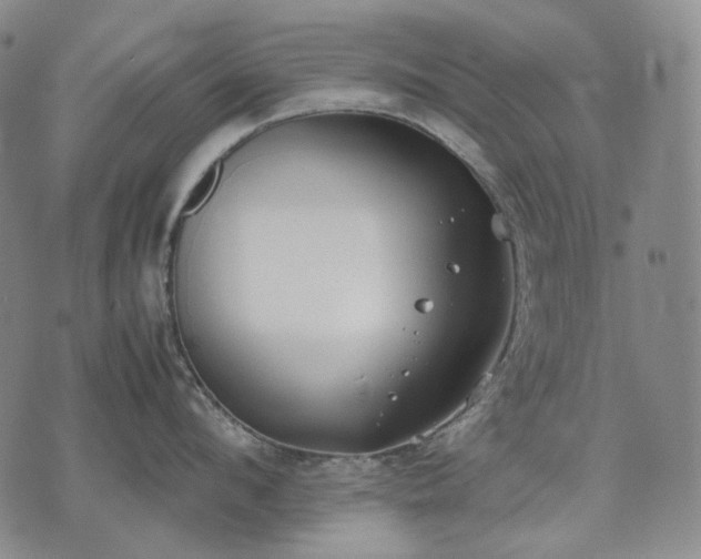 X0000074310912200609011509