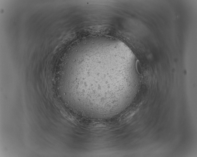 X0000074310913200609011508