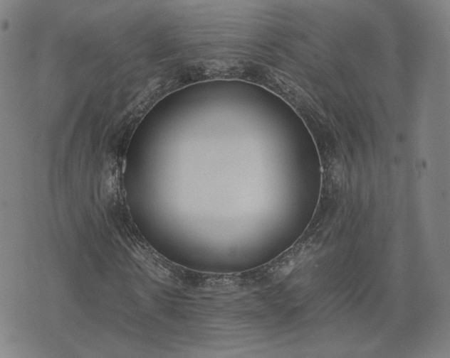 X0000074310914200609011508