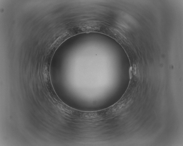 X0000074310915200609011508